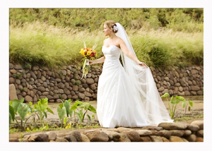 Maui Wedding Gallery