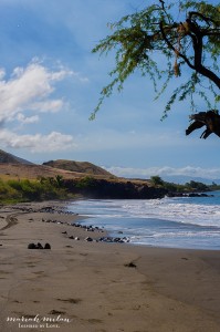 Cut Mountain Maui Portrait Location
