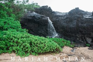 Rainy Ironwood Beach